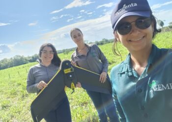 Florestas plantadas em MS contribuem para a meta de carbono neutro