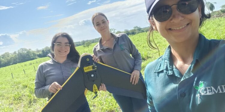 Florestas plantadas em MS contribuem para a meta de carbono neutro