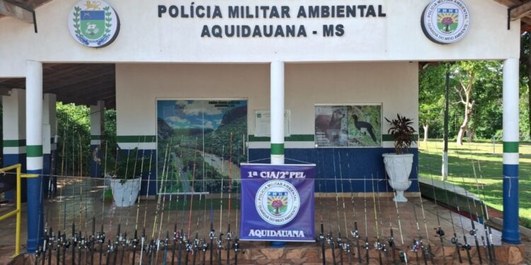 Operação Piracema em Mato Grosso do Sul apreende mais de 680 kg de pescado irregular