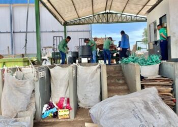 Ceasa de MS destina quase mil toneladas de resíduos para reaproveitamento ao ano