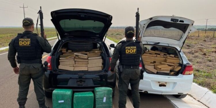 Tecnologia e trabalho integrado contribuem para aumento de 30% na apreensão de drogas em MS