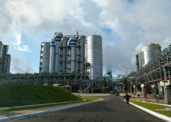 Celulose expande economia de MS e nova fábrica em Ribas é passo importante para crescimento e diversificação