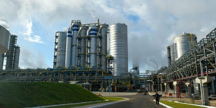Celulose expande economia de MS e nova fábrica em Ribas é passo importante para crescimento e diversificação