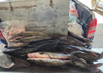 Operação intensifica vigilância sobre pesca durante período de defeso no MS