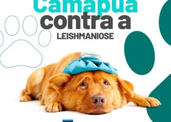 Leishmaniose em Camapuã: Prefeitura Reforça Ações de Prevenção