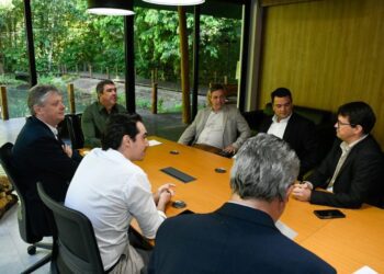 Com setor da citricultura em expansão, mais uma empresa vai investir em MS