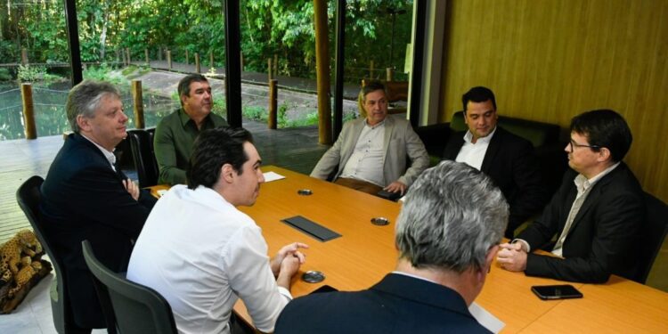 Com setor da citricultura em expansão, mais uma empresa vai investir em MS