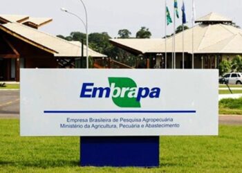 Embrapa anuncia concurso público com vagas para Mato Grosso do Sul