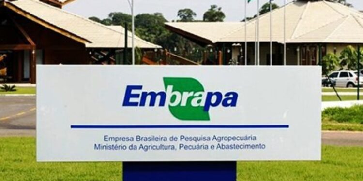 Embrapa anuncia concurso público com vagas para Mato Grosso do Sul
