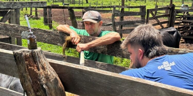Melhoramento genético da pecuária leiteira avança em Costa Rica com nova rodada de ações