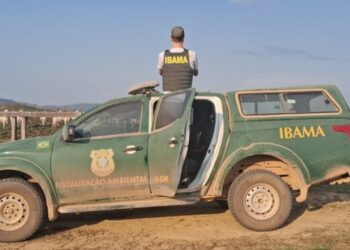 Ibama anuncia concurso público com 460 vagas para analistas