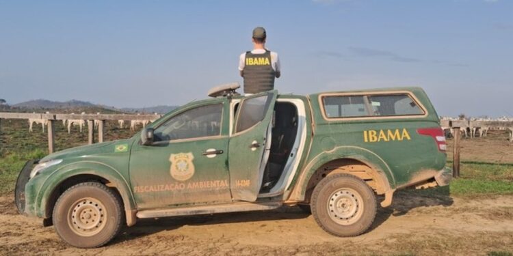 Ibama anuncia concurso público com 460 vagas para analistas