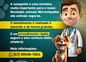 Cães de Jaraguari serão microchipados em campanha promovida pela prefeitura