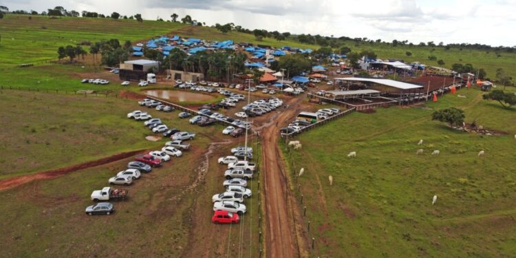 Primeiro Circuito de Laço reúne competidores de várias regiões em Figueirão