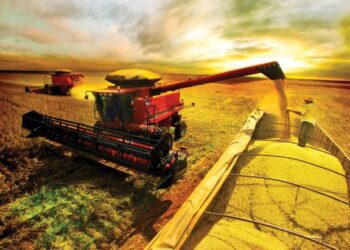 Secretário Jean Carlos impulsiona melhorias na infraestrutura de Camapuã com reforma da ponte do Córrego Valeriano