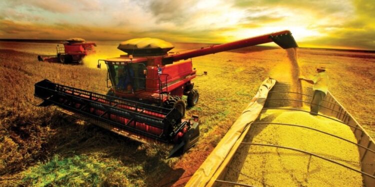 Secretário Jean Carlos impulsiona melhorias na infraestrutura de Camapuã com reforma da ponte do Córrego Valeriano