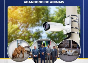 Vereadores de Costa Rica sugerem câmeras para combater crimes contra animais