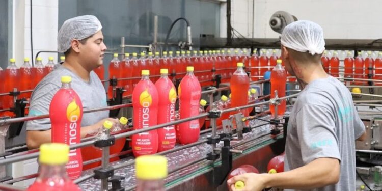 Investimentos privados impulsionam mercado de trabalho para mulheres e jovens em Mato Grosso do Sul