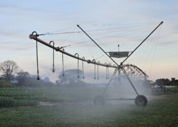 FCO aprova R$ 219,7 milhões para novos empreendimentos em Mato Grosso do Sul
