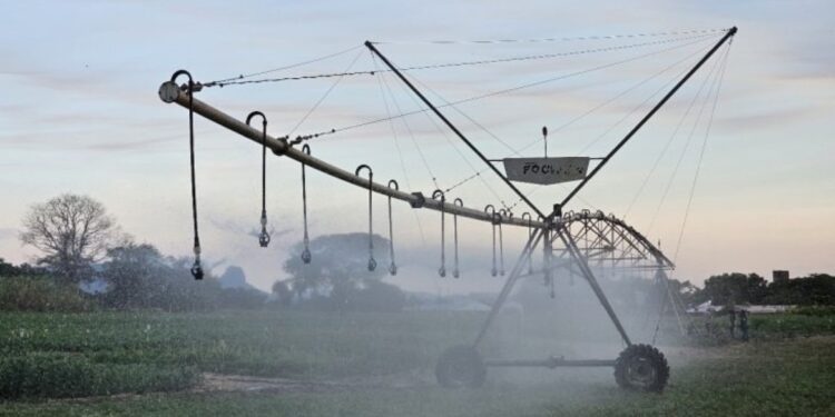 FCO aprova R$ 219,7 milhões para novos empreendimentos em Mato Grosso do Sul