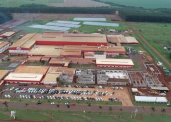 Governo de MS incentiva suinocultura com investimento de R$ 400 milhões