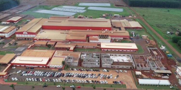 Governo de MS incentiva suinocultura com investimento de R$ 400 milhões