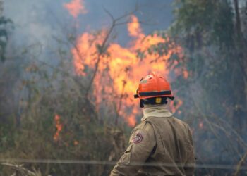 Emergência ambiental: Mato Grosso do Sul adota medidas urgentes por 180 dias