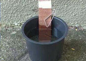 Município de Figueirão usará tecnologia para identificar focos do mosquito Aedes aegypti