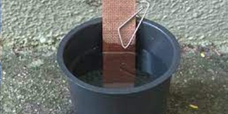 Município de Figueirão usará tecnologia para identificar focos do mosquito Aedes aegypti