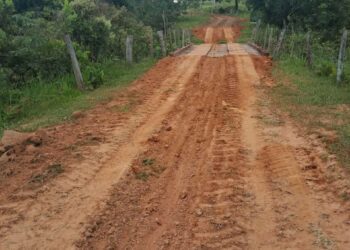 Figueirão avança na recuperação de estradas vicinais para fortalecer setor agropecuário