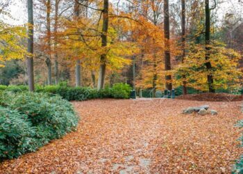 Previsão indica outono mais quente e seco em Mato Grosso do Sul