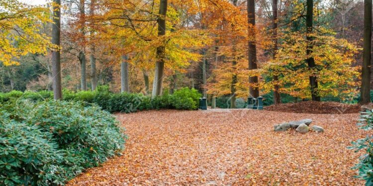 Previsão indica outono mais quente e seco em Mato Grosso do Sul