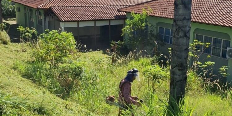 Limpeza urbana segue intensificada em Camapuã para melhorar qualidade de vida e evitar doenças