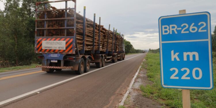 Rota da Celulose vai qualificar rodovias, impulsionar economia e mudar realidade de muitas pessoas