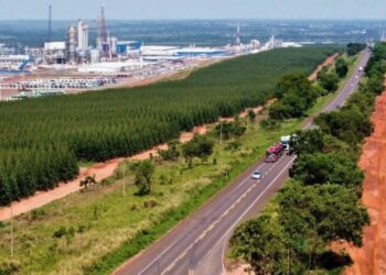 Governo de MS realiza leilão para concessão da Rota da Celulose na próxima quinta-feira