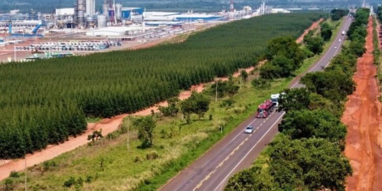 Governo de MS realiza leilão para concessão da Rota da Celulose na próxima quinta-feira