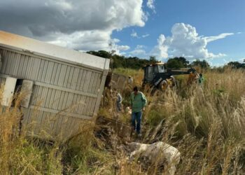 Carreta com gado tomba na MS-436 e motorista é levado em vaga zero para Campo Grande