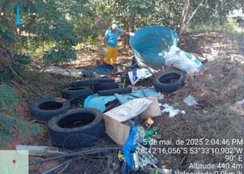 Mutirão retira lixo descartado irregularmente no Assentamento Santa Fé, em Alcinópolis