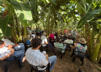 Oficina ensina técnicas de bananicultura a assentados em Alcinópolis