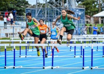 Com recorde de inscritos, MS avança no processo seletivo do Bolsa Atleta e Bolsa Técnico