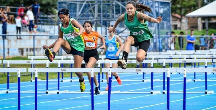 Com recorde de inscritos, MS avança no processo seletivo do Bolsa Atleta e Bolsa Técnico
