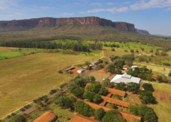 Pantanal Tech MS 2025: Governo e UEMS fomentam desenvolvimento com inovação e sustentabilidade