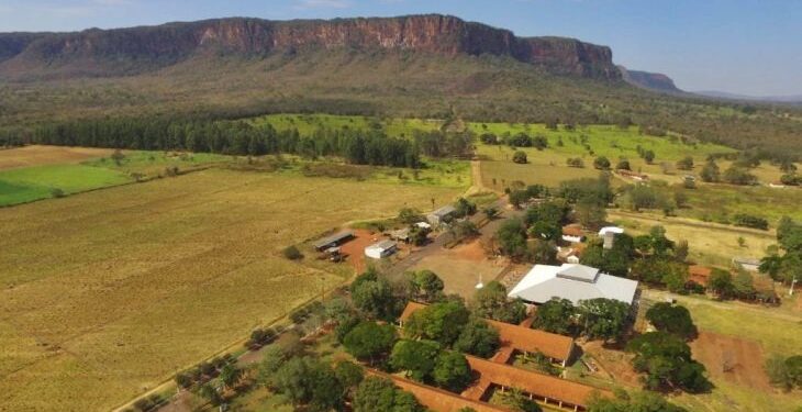 Pantanal Tech MS 2025: Governo e UEMS fomentam desenvolvimento com inovação e sustentabilidade