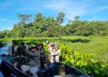 Famtour internacional destaca o Pantanal de MS como destino estratégico para observação de aves