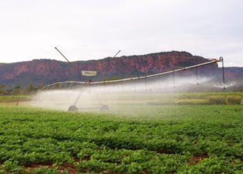 Pantanal Tech MS se consolida como vitrine do agro sustentável, fomento tecnológico e economia criativa