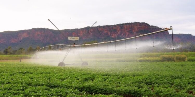 Pantanal Tech MS se consolida como vitrine do agro sustentável, fomento tecnológico e economia criativa