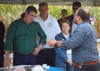Governo de MS discute novas tecnologias e modelos para impulsionar produção de milho