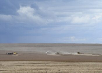 Agronegócio deve puxar PIB do Estado, com previsão de crescer 5,5% neste ano