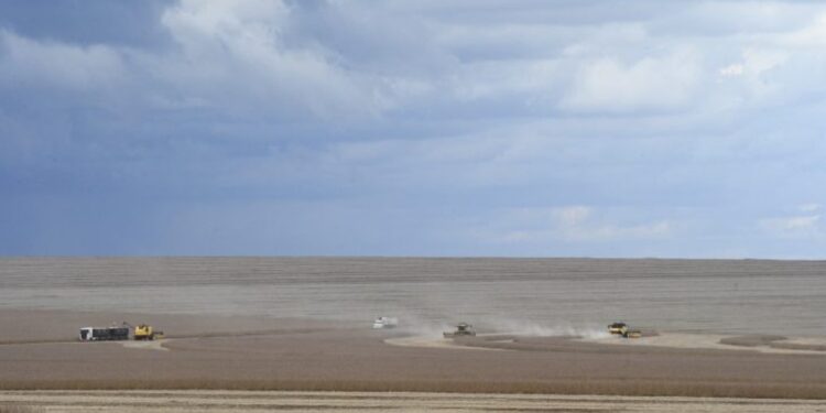 Agronegócio deve puxar PIB do Estado, com previsão de crescer 5,5% neste ano