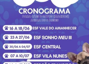 Castramóvel oferece atendimento gratuito para castração de animais em Costa Rica